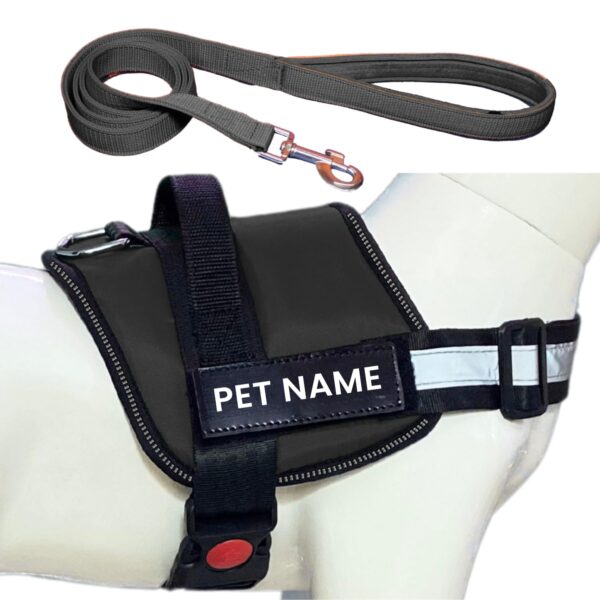 Customized Dog Harness Leash with Name | Personalized Harness for Customized Dog Harness Leash with Name | Personalized Harness for Large Dogs | Adjustable, Reflective, Choke Free, Reflective (L, Black) (for 24-35 Kg Pet)