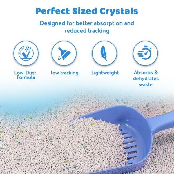 Cat Litter 5kg | 100% Natural Bentonite Clay | Rapid Clumping, Odour Lock, Low Dust, Gentle on Paws | Premium Absorbent Cat Litter for All Breeds