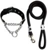 Woofy Combo Half Dog Collar Chain Choke Collar and Training Woofy Combo Half Dog Collar Chain Choke Collar and Training Leash for Large Breed with Strong Cast Hook (12mm) 1 Inch Choke Collar Width