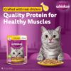 715kq3gwFKL._SL1500_.jpg Whiskas Adult (1+ Years) Wet Cat Food, Chicken in Gravy, 80 g, Hydrating Food Made With Real Chicken, 100% Complete & Balanced Nutrition for Adult Cats