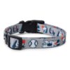 Zigly Lifestyle Doodle Dog Collar-Large - Grey-Adjustable & Durable Collar for Large Dogs | Stylish Pet Collar for Daily Use | Collars for Dogs
