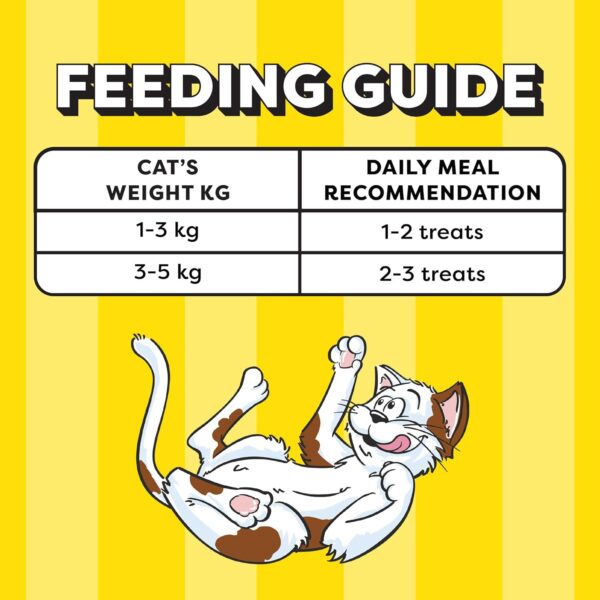 Temptations Creamy Purrrrr-ée Lickable Cat Treats, Salmon & Cheese Flavour, 48 G, Made with Real Fish, Goodness of Protein, Vitamins & Minerals,All Life Stages