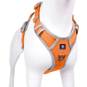 HANK Dog Harness | 3M Reflective | Strong Metal Hook | Dog Chest Belt for Large Dogs | No Pull Harness for Walking, Training (Orange - Grey - L (23-35Kg)