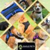 7166onnUkOL._SL1200_.jpg Reflective Mesh Padded Dog Vest Front Range No Pull Harness with Handle, Adjustable Dog Body Belt (Small, Red) (Retro, Small)