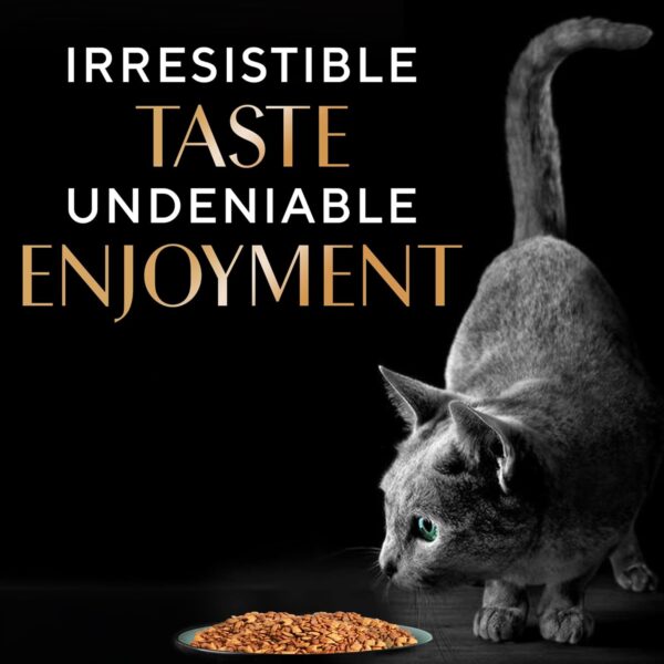 Sheba Kitten and Adult, Irresistible Dry Cat Food, Salmon Flavour, 1.5 kg, Contains 41 Essential Nutrients, Complete & Balanced Nutrition