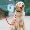 7170w95N3nL._SL1500_.jpg 10-FEET (5MM) Heavy-Duty Tie Out Cable Leash for Dogs Up to 35kg, Long Dog Cable Leash with PVC Coating, Dogs Chains for Outside and Indoor Durable Dog Runner Tether Line for Yard (Red)