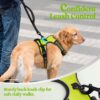 Premium Reflective Dog Vest Harness| Soft Breathable| Padded Handle| Adjustable Straps & Luxury Buckle | Soft Padded Mesh | No Pull | No-Choke | Chest 28-35 inch | All Giant Breeds 35-60 Kg