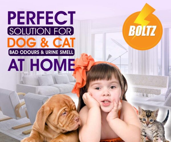 717cHzo9R4L._SL1200_.jpg Boltz Odour and Urine Smell Remover Pet Area Freshener for Dog and Cat with Lavender Fragrance (200 ml), 1 Piece