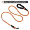 717eraTHEHL._SL1500_.jpg Wooflix Heavy Duty Nylon Dog Leash | Anti Slip Padded Handle Long Dog Leash | Highly Reflective Leash for Dogs | Dog Rope for Medium & Large Dogs | Dog Training Leash | (Orange, 5 Feet Long)