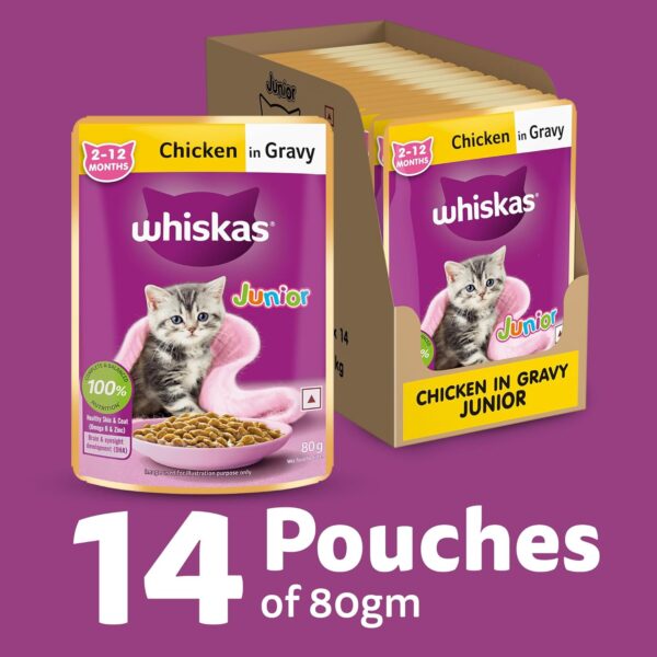 717yxjo3sIL._SL1500_.jpg Whiskas Junior Kitten (2-12 Months) Wet Cat Food, Chicken in Gravy, 80 g (Pack of 14), Hydrating Food Made With Real Chicken, 100% Complete & Balanced Nutrition for Kittens