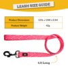 Bark Basket 'Puppy Blush' Dog Leash for Large Dogs | Durable, Lightweight & Strong Charming Baby Pink Print Dog Leash with Comfortable Handle | Leash Size: Large, (4ft Long, 1 Inches Wide)