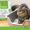 Dr. Elsey’s Touch of Outdoors Bentonite Cat Litter, Natural Chlorophyll for Odour Control, Dust-Free, Quick Absorption, Hard Clumping, Reduces Stress, Multi-Cat Friendly - 9.08 kg