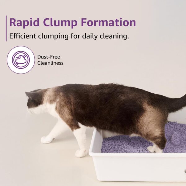 Amazon Basics Premium Tofu Cat Litter | 5 Kg (2.5 Kg x 2 Packs) | Organic | Biodegradable | Flushable | Dust-Free | Instant Clumping | Mild Lavender Fragrance