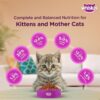 Whiskas Junior Mother Cat & Kitten (2-12 Months) Dry Cat Food, Ocean Fish Flavour, 450 g, Contains 41 Essential Nutrients, Complete & Balanced Nutrition for Mother Cats & Kittens (Pack of 2)
