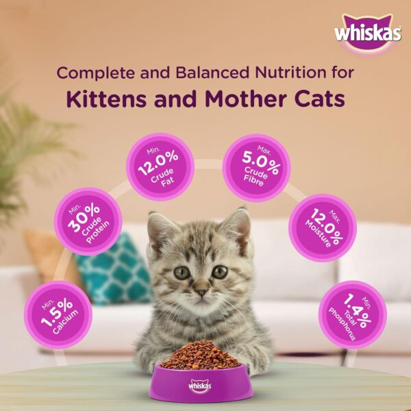 Whiskas Junior Mother Cat & Kitten (2-12 Months) Dry Cat Food, Ocean Fish Flavour, 450 g, Contains 41 Essential Nutrients, Complete & Balanced Nutrition for Mother Cats & Kittens (Pack of 2)