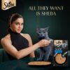 718ZrIZX5oL._SL1500_.jpg Sheba Soup with Tuna Adult Wet Cat Food, 160g (4 x 40g), Finely Sliced Pieces of Tuna in Smooth, Silky and Velvety Broth (Pack of 4)