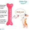 Rubber Chew Dog Bone Toy, Large - 8.5 inch, Color May Vary