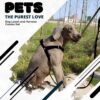 718w2cRvJwL._SL1000_.jpg Dog Leash And Collar Combo Set|Highly Reflective|Dog Rope For Small, Medium & Large Dogs|(Size- Leash 4.8 Ft. + Collar (Medium, Black),146 cm