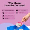 Catmos Lavender Clumping Cat Litter – 5kg | Odour-Sealing, Quick-Clumping & Low Dust Formula | Lavender Scented for Freshness | Ideal for Multi-Cat Homes