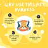 Emily Pets Dog Harness for Small Medium Large Size Dogs, Non-Pulling Military Tactical Service Vest with Adjustable and Comfortable for Easy Walking (Sky Blue, M)