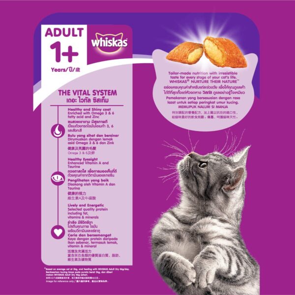 719N3t7aiDL._SL1201_.jpg Whiskas Adult (+1 Year) Dry Cat Food, Mackerel Flavour, 3kg Pack & Adult (+1 Year) Dry Cat Food, Mackerel Flavour, 1.2kg Pack