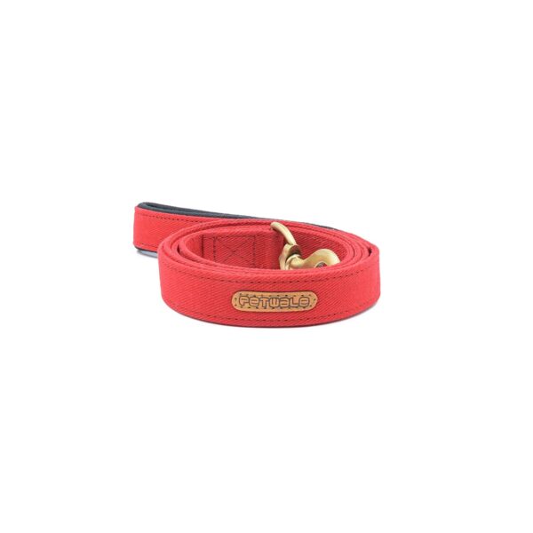 PetWale Dog Leash with Padded Handle | Suited for Walking, Running, Training & More | Red Fabric | Easy to Clean & Maintain | Durable & Sturdy | L: 5 feet, W: 1 inch