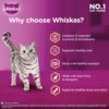 719g4gqlBWL._SL1500_.jpg Whiskas Adult (+1 Year) Dry Cat Food, Chicken Flavour, 1.2kg Pack and Adult (+1 Year) Dry Cat Food, Tuna Flavour, 1.2kg Pack