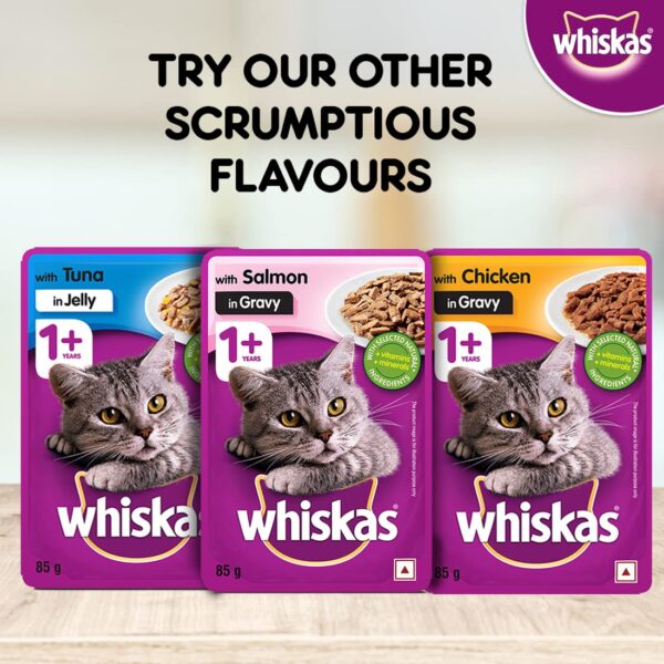 Whiskas Kitten (2-12 Months) Wet Cat Food, Tuna in Jelly Flavour, 96 x 85 g Pouches
