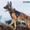 Dog Harness with Leash Small Medium & Large All Breeds for Dogs Harness Reflective Adjustable Belt Vest Harness (Tactical Harness with Leash) (Black) (Large Dogs)