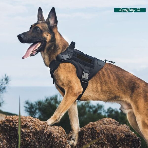 Dog Harness with Leash Small Medium & Large All Breeds for Dogs Harness Reflective Adjustable Belt Vest Harness (Tactical Harness with Leash) (Black) (Large Dogs)