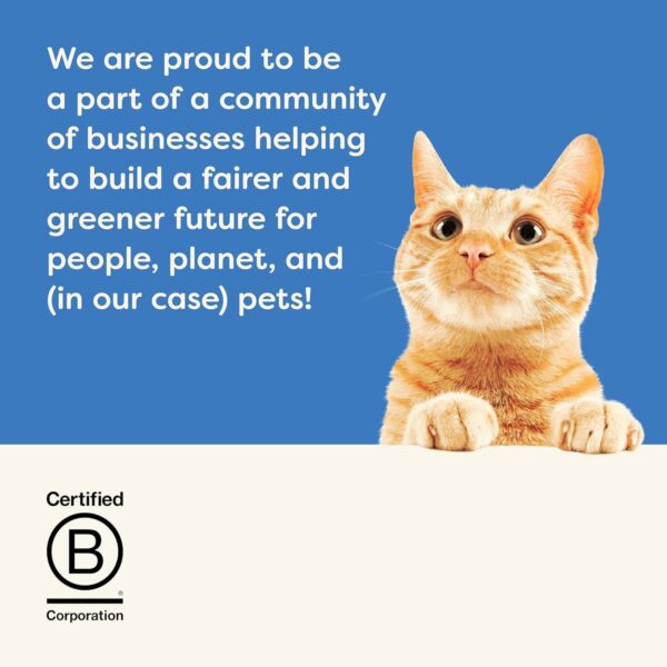 Applaws Natural Premium Wet Cat Food for Adult Cats, Tuna Fillet and Prawns in Broth Pack of 4 x 70g Cans