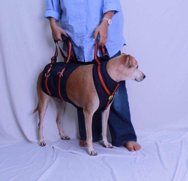 A+a Pets'Dog Lift Full Body Support Harness (XL-2XL)