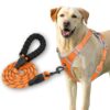 HANK Dog Harness Leash Set - 3M Reflective Strap - HANK Dog Harness Leash Set - 3M Reflective Strap - Dog Body Belt - No Pull Harness - Dog Vest for Training - Walking (Orange - Grey - M (Harness + Leash)