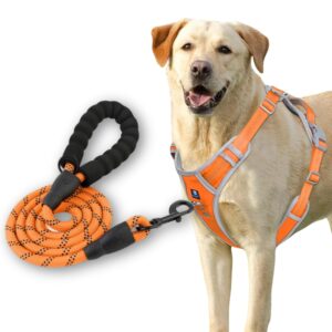 HANK Dog Harness Leash Set - 3M Reflective Strap - Dog Body Belt - No Pull Harness - Dog Vest for Training - Walking (Orange - Grey - M (Harness + Leash)