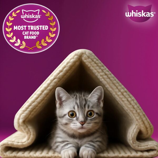 Whiskas Junior Mother Cat & Kitten (2-12 Months) Dry Cat Food, Mackerel Fish Flavour, 1.1 kg, Contains 41 Essential Nutrients, Complete & Balanced Nutrition for Mother Cats & Kittens