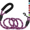 Petology Dog Leash 4FT Long, 1cm Thick Reflective Heavy Duty Petology Dog Leash 4FT Long, 1cm Thick Reflective Heavy Duty Rope with Anti-Slip Padded Handle for Small Dogs