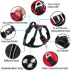 71Arupwc4gL._SL1200_.jpg HANK Dog Harness | 3M Reflective | Body Vest for Small Dogs | Soft Comfortable | Adjustable Buckles | No Pull Harness for Training, Walking (Red - S (4-13Kg)