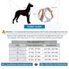 HANK Dog Harness | 3M Reflective Strap | Dog Body Vest for Medium Dogs | Soft Comfortable Padded | Anti Pull Harness for Walking, Training (Khaki - Grey - M (14-22Kg)
