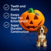Western Era Pumpkin Squeaky Dog Toy | Halloween Jack O’ Lantern Design | Durable Chew Toy for Dogs | Spooky Pumpkin Shape with Loud Squeaker | Great for All Dogs | Dog Treat Distraction for Training