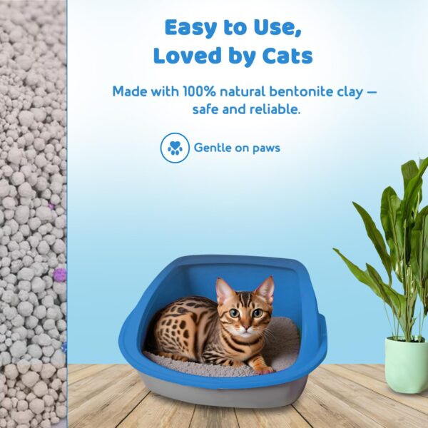 Cat Litter 5kg | 100% Natural Bentonite Clay | Rapid Clumping, Odour Lock, Low Dust, Gentle on Paws | Premium Absorbent Cat Litter for All Breeds