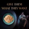 71BCavoFjyL._SL1500_.jpg Sheba Rich Premium Adult (1+ Years) Wet Cat Food, Maguro & Bream Flavour, 35 g Pouch (Pack of 12), High-moisture wet food for healthy hydration