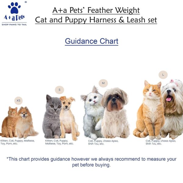 A+a Pets' Feather Weight Cat and Dog Harness & Leash Set – Escape Proof, Adjustable, No Pull, Soft Padded Vest for Persian Cats, Kittens, Small Dogs (Green, L)