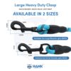 HANK Dog Leash | 3M Reflective Dog Rope | Soft Comfortable Handle | Heavy Duty Belt Hook | (Suitable Up to 10KG - Small Breed) - 5 Feet Long (S - Cyan Blue)