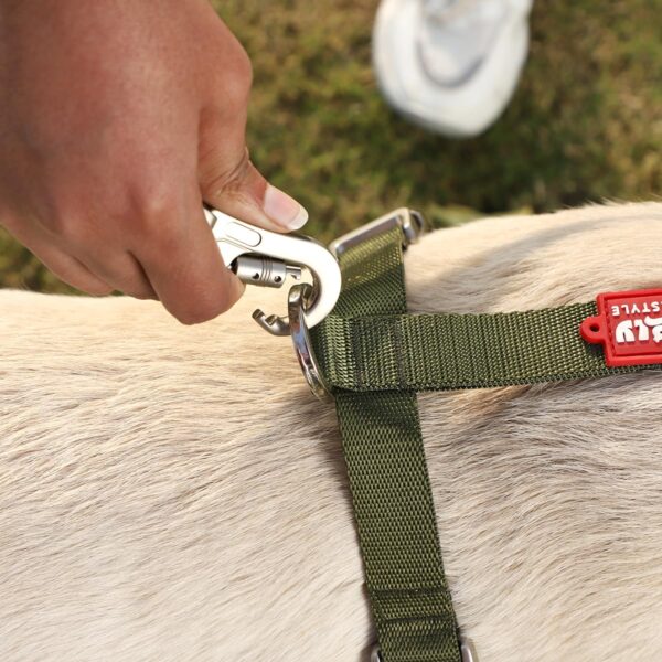 Zigly Lifestyle Classic Dog Harness - Body Belt for Dogs with Adjustable Buckle - Soft and Comfortable with Sturdy Handle - Large (Olive Green)