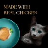 71D1srBYucL._SL1500_.jpg Sheba Fine Premium Kitten (2-12 Months) Wet Cat Food, Chicken Premium Loaf, 70 g Pouch (Pack of 14), High-Moisture Gravy Kitten cat Food for Healthy Hydration