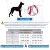 HANK Dog Harness | 3M Reflective | Strong Metal Hook | Dog Chest Belt for Large Dogs | No Pull Harness for Walking, Training (Red - Grey - L (23-35Kg)