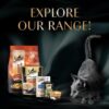 Sheba Kitten and Adult, Irresistible Dry Cat Food, Salmon Flavour, 1.5 kg, Contains 41 Essential Nutrients, Complete & Balanced Nutrition