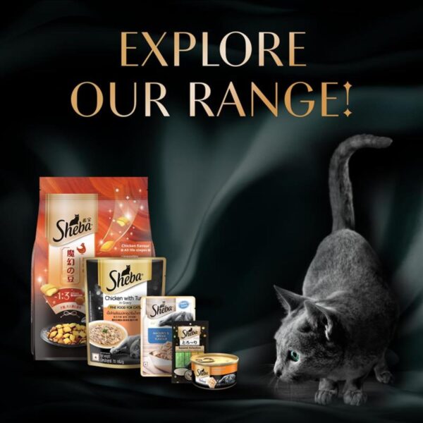 Sheba Kitten and Adult, Irresistible Dry Cat Food, Salmon Flavour, 1.5 kg, Contains 41 Essential Nutrients, Complete & Balanced Nutrition