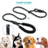 Reflective Adjustable Pet Leash for Dogs and Cats| Durable and Comfortable| Strong Nylon with Padded Handle| Straps Dogs Perfect for Harness and Neck Collar Belts