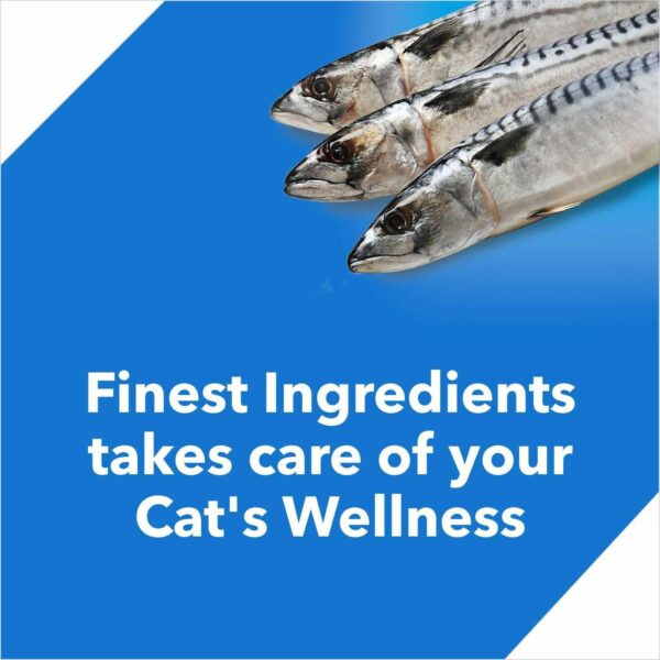 71DWraxF7VL._SL1500_.jpg Drools Dry Adult Cat Food Ocean Fish 7kg with 5kg Drools Cat Litter Free